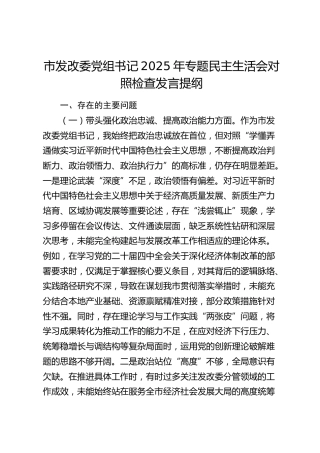 市发改委党组书记2025年专题民主生活会对照检查发言提纲（五个带头）