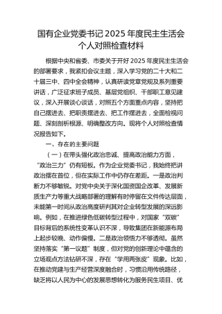 国企公司书记2025年度民主生活会个人对照检查材料（五个带头）