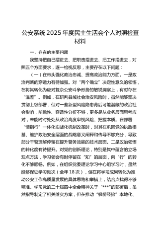 公安系统2025年度民主生活会个人对照检查材料（五个带头）