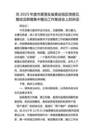 在2025年度市委落实省委巡视反馈意见整改及群腐集中整治工作推进会上的讲话