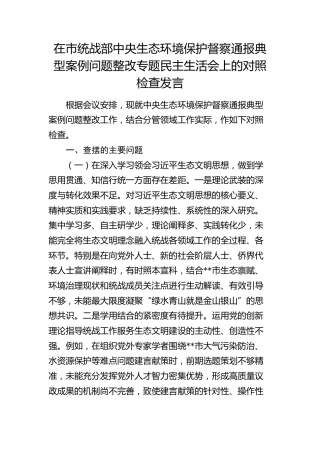 在市统战部中央生态环境保护督察通报典型案例问题整改专题民主生活会上的对照检查发言(环保督察)