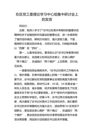 在区党工委理论学习中心组集中研讨会上的发言（作风建设、贵州考察）