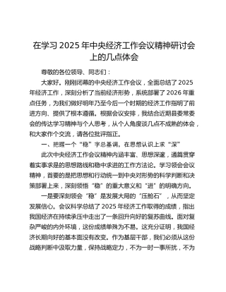 学习2025年中央经济工作会议精神研讨会上的体会4