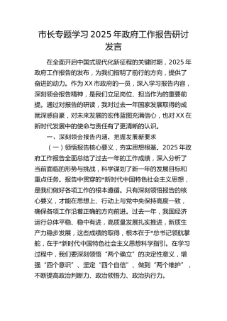 市长专题学习2025年政府工作报告研讨发言