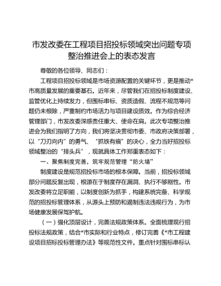市发改委在工程项目招投标领域突出问题专项整治推进会上的表态发言