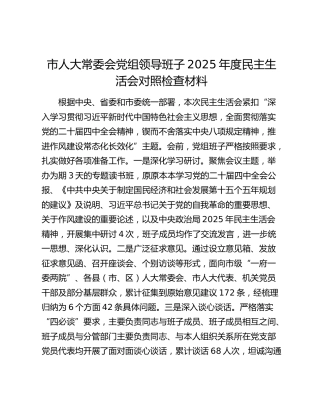 市人大常委会党组领导班子2025年度民主生活会对照检查材料（贯彻落实中央八项规定精神情况总结+五个带头+典型案例剖析）