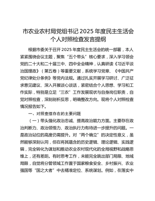 市农业农村局党组书记2025年度民主生活会个人对照检查发言提纲（五个带头）