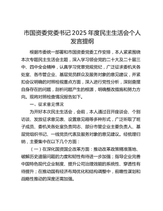 市国资委党委书记2025年度民主生活会个人发言提纲（上年度查摆问题整改情况+五个带头）