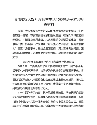 某市委2025年度民主生活会领导班子对照检查材料（贯彻落实八项规定精神情况总结+五个带头+典型案例剖析）