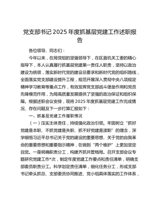 党支部书记2025年度抓基层党建工作述职报告（2）