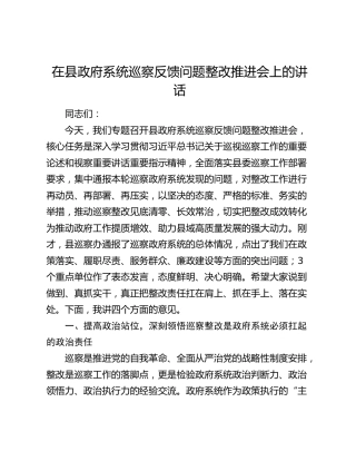 在县政府系统巡察反馈问题整改推进会上的讲话