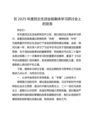 在2025年度民主生活会前集体学习研讨会上的发言