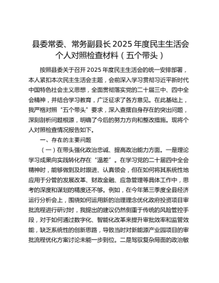 县委常委、常务副县长2025年度民主生活会个人对照检查材料（五个带头）