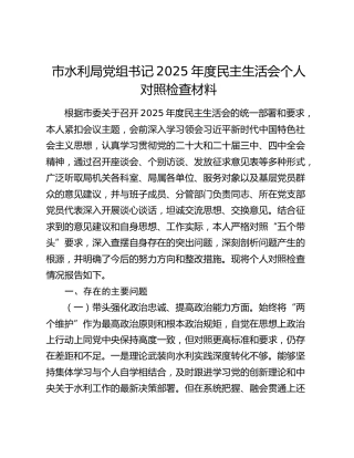市水利局党组书记2025年度民主生活会个人对照检查材料（五个带头）