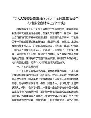市人大常委会副主任2025年度民主生活会个人对照检查材料(五个带头)