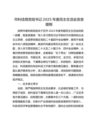 市科技局党组书记2025年度民主生活会发言提纲（上年度查摆问题整改落实情况+五个带头）