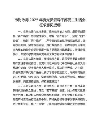 市财政局2025年度党员领导干部民主生活会征求意见提纲