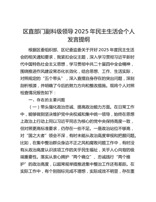 区直部门副科级领导2025年民主生活会个人发言提纲（五个带头）