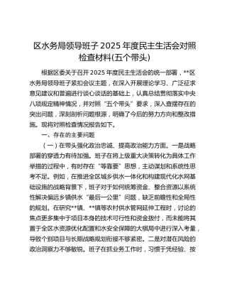 区水务局领导班子2025年度民主生活会对照检查材料(五个带头)