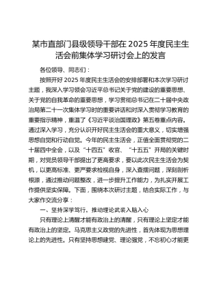 某市直部门县级领导干部在2025年度民主生活会前集体学习研讨会上的发言