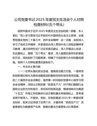 公司党委书记2025年度民主生活会个人对照检查材料(五个带头)