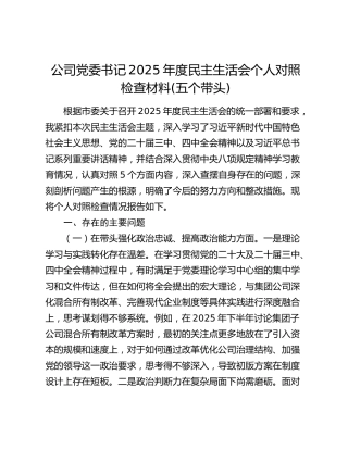 公司党委书记2025年度民主生活会个人对照检查材料(五个带头) (3)