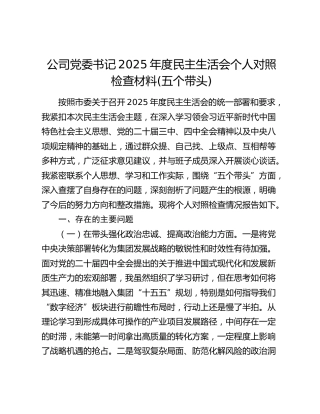 公司党委书记2025年度民主生活会个人对照检查材料(五个带头) (2)