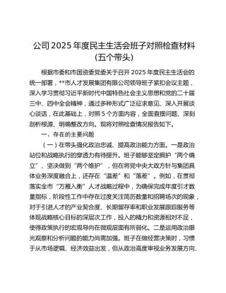公司2025年度民主生活会班子对照检查材料(五个带头)