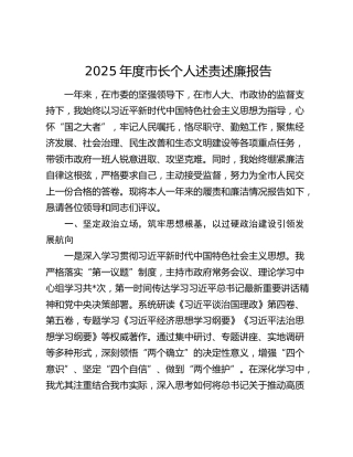 2025年度市长个人述责述廉报告