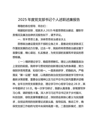 2025年度党支部书记个人述职述廉报告
