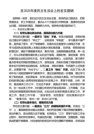 2025年班子成员民主生活会发言提纲（五个带头）
