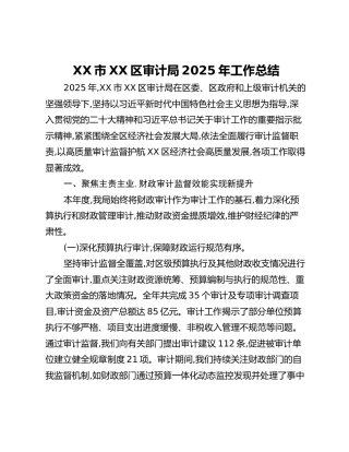 XX市XX区审计局2025年工作总结
