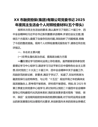 XX市融资担保(集团)有限公司党委书记2025年度民主生活会个人对照检查材料(五个带头)