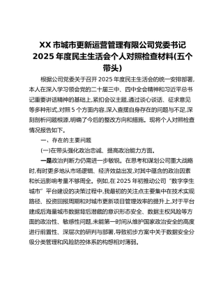 XX市城市更新运营管理有限公司党委书记2025年度民主生活会个人对照检查材料(五个带头)