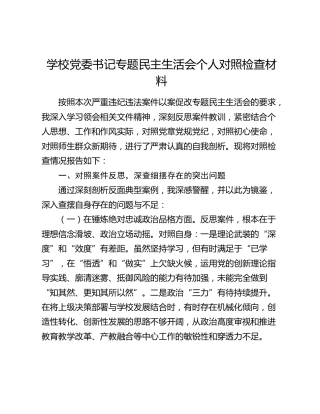 学校党委书记专题民主生活会个人对照检查材料