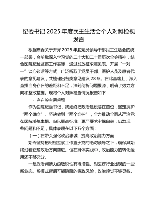 纪委书记2025年度民主生活会个人对照检视发言（五个带头）