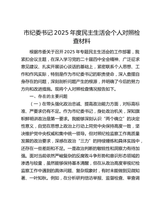 市纪委书记2025年度民主生活会个人对照检查材料（五个带头）