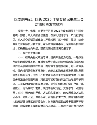区委副书记、区长2025年度专题民主生活会对照检查发言材料（五个带头）