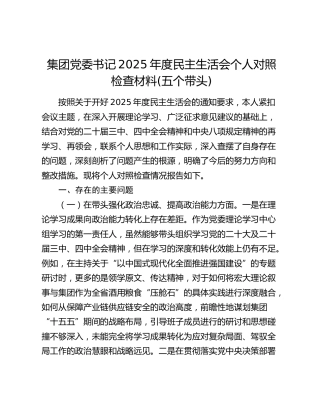集团党委书记2025年度民主生活会个人对照检查材料(五个带头)