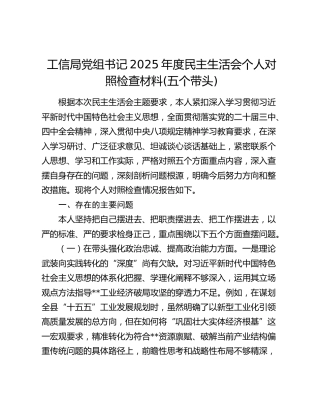 工信局党组书记2025年度民主生活会个人对照检查材料(五个带头)