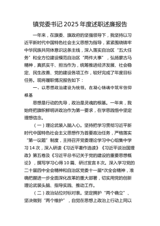 乡镇党委书记2025年度述职述廉报告