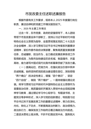 市发改委主任2025年度述职述廉报告