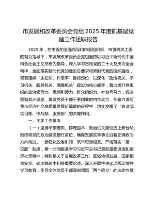 市发改委2025年度抓基层党建工作述职报告