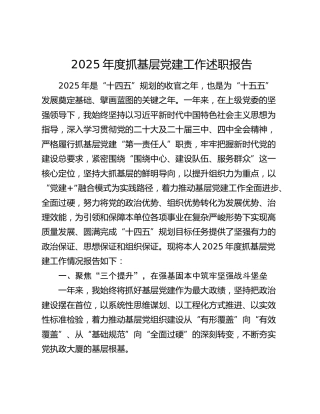 2025年度抓党建工作述职报告6000字