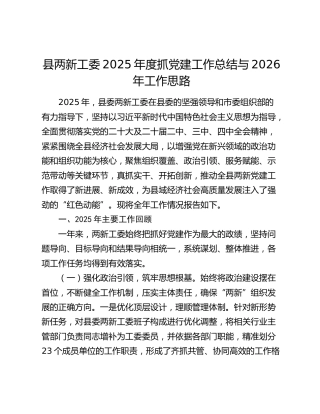 县两新工委2025年度抓党建工作总结与2026年工作思路