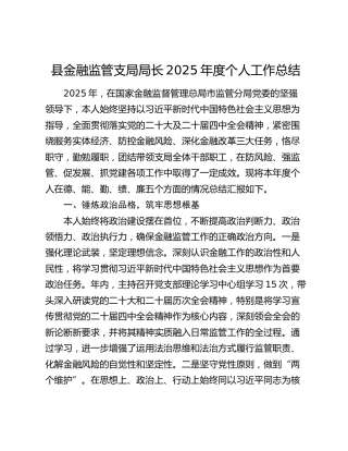 县金融监管支局局长2025年度个人工作总结