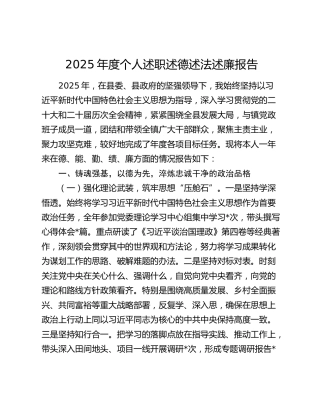 2025年度个人述职述德述法述廉报告