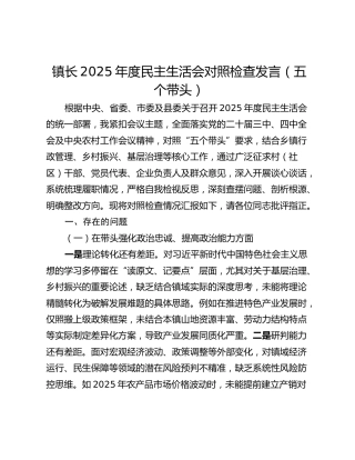 镇长2025年度民主生活会对照检查发言（五个带头）