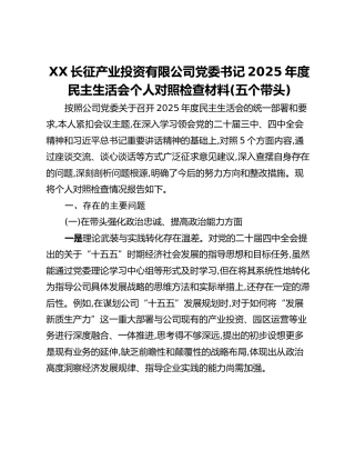 XX长征产业投资有限公司党委书记2025年度民主生活会个人对照检查材料(五个带头)