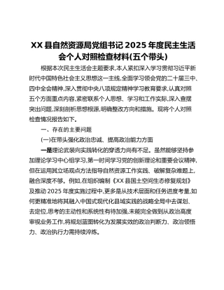 XX县自然资源局党组书记2025年度民主生活会个人对照检查材料(五个带头)